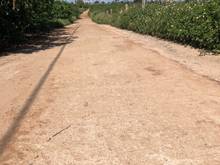 Hình ảnh Chính chủ Bán 2 sào đất Biển Hồ, Pleiku khu vực nhiều Farmstay lớn,đẹp