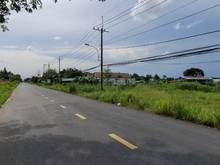 Hình ảnh Cần bán 5300m2 full thổ cư  ngay mặt tiền Bình Mỹ, xã Bình Mỹ