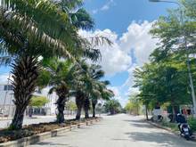Hình ảnh Bán nền đất trong KDC Tân Đô, Hương Sen Graden ráp ranh Bình Chánh
