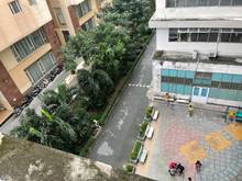 Hình ảnh Cho thuê chung cư Vạn Đô quận 4