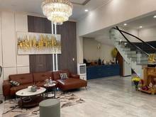 Hình ảnh Bán nhà quận 3 Biệt thự đường pateur - Ngang 7- Nở hậu 8,3 m - Dài 16m