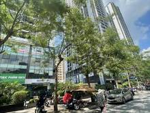 Hình ảnh Cực hiếm! Mặt phố Khương Đình, 70m2, mt 6m, giá tốt 11 tỷ.