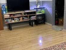 Hình ảnh Bán nhà , chủ tặng nội thất cao cấp , diện tích 42 m2 giá 4 tỷ 3