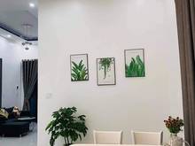 Hình ảnh HXH 12m Cộng Hòa, Tân Bình - DT: 5m x 17m - Chỉ 14 tỷ
