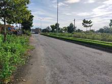 Hình ảnh Nền đẹp, trục chính khu Minh Linh