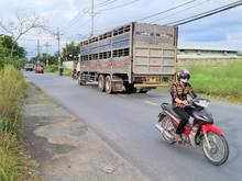 Hình ảnh Cần Bán Lại 1Ha Đất Sẵn Nhà Xưởng ĐHĐ Bình Mỹ Củ Chi