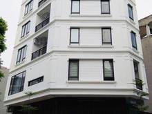 Hình ảnh Cần cho thuê nhà MT Trần Quang Khải Q1, DT 9x18M. Hầm 5 Lầu. Giá 85TR