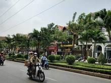 Hình ảnh Nhà bán DIỆN TÍCH TỐT, GIÁ RẺ tại Nguyễn Sỹ Sách
