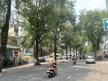 Hình ảnh Bán Khuôn Đất Hẻm Xe Hơi Nguyễn Trãi P. NCT Q1 DT 13x15m Giá 40 tỷ