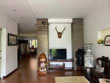 Hình ảnh Bán nhà HXH 436A/ Đường 3/2, Phường 12, Quận 10(3.64x19m)trệt 3 lầu.