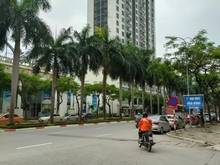 Hình ảnh Bán gấp Siêu Biệt Thự Lưu Hữu Phước, vỉa hè, ô tô tránh, KD, lô góc, 2