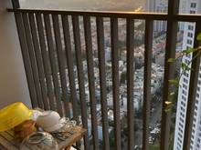 Hình ảnh #Sunrise City View - Q7, bán CH 2PN2WC - tầng cao view khu biệt thự