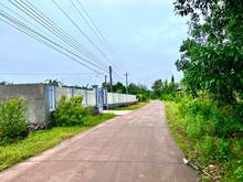 Hình ảnh Bán vườn trái cây chính chủ tại xã Gia Canh gần nhựa Gia Canh