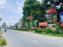 Hình ảnh Khu Bàn Cờ Tân Hiệp 11 x 21, 200m thổ cư. Cách chợ 400m.