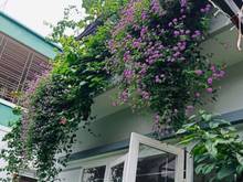 Hình ảnh Bán nhà MT đường Ngô Bệ. DT: 5m x 27m.