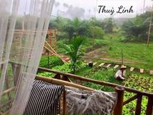 Hình ảnh Dừng lại! Đừng tìm nữa, đây là lựa chọn của bạn rồi!