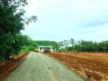 Hình ảnh Đất nền giá rẻ nhất thị trường Lộc Ninh Bình Phước
