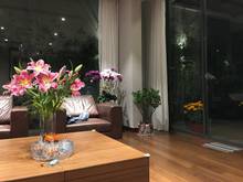 Hình ảnh Biệt thự Nguyễn Văn Hưởng. 236,6m2. Trệt 2 lầu. 50 tỷ.