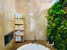 Hình ảnh Biệt thự Trần Xuân Soạn, Tân Hưng. 14m x 24m. Trệt 2 lầu.