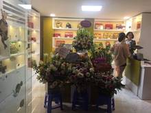 Hình ảnh Tào Nhà Cho Thuê Phố Thái Hà, Sát Phố, Thang Máy, Ô Tô, DT 4 Tỷ/ Năm