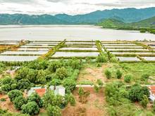 Hình ảnh NINH PHÚ đất này k xem thì tiếc mà xem k mua thì phí lắm ạ