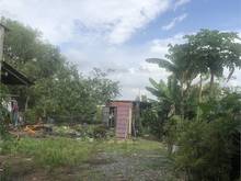 Hình ảnh Bán 1.000m2 Đất Mặt Tiền Bến Than Hòa Phú Củ Chi