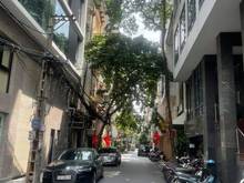 Hình ảnh Bán nhà phố Nguyên Hồng, Đống Đa, NHÀ ĐẸP, PHÂN LÔ, Ô TÔ TRÁNH, KD