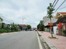 Hình ảnh Bán đất Cách Hạ, Nam Sơn, An Dương 1,95 tỷ,96m2,MT4m,đg Oto 3m.