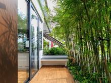Hình ảnh Căn Hộ Tân Bình - Có sân vườn - giáp Phú Nhuận và Quận 3