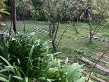 Hình ảnh Bán nhà Trần Quý Cáp, Bình Thạnh, 69m2, 5,8 tỷ.