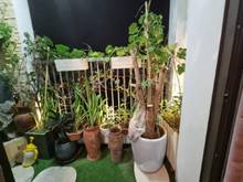 Hình ảnh Cần bán cc Ngoại giao đoàn, CĂN GÓC 3 ngủ full đồ về ở luôn