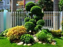 Hình ảnh Biệt thự khu Tân Quy Đông, Quận 7. 12m x 19m. Trệt, 2 lầu. Nhà mới.