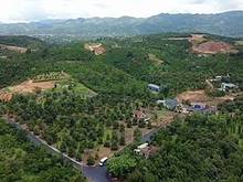 Hình ảnh Taka garden hill nền nghỉ dưỡng bảo lộc