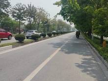 Hình ảnh Bán nhà mặt phố Trịnh Văn Bô 85/100m2 mặt tiền 7m 15 tỷ phù hợp 7 tầng