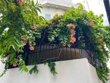Hình ảnh Cho Thuê Nhà Nguyên Căn Quận 7