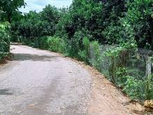 Hình ảnh Tôi cần bán sào đất vị trí đẹp cách Ql20 5p, UBND, Chợ Phú Túc