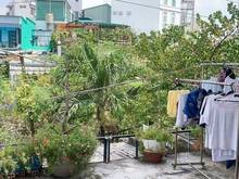 Hình ảnh Nhà đẹp Hxh Hoàng Văn Thụ Phú Nhuận,  72m2, 3 tầng, 9 tỉ 2