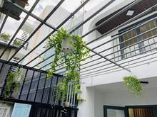 Hình ảnh Đi Vài Bước Vào Nhà Hẻm Ba Gác Phan Chu Trinh Q.Bình Thạnh ,HCM.