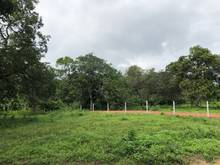 Hình ảnh Đất vườn cạnh Suối, view Núi - SHR - Ngay DT763 - Cách QL1A chỉ 2km