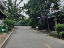 Hình ảnh Bán nhà siêu to, Hà Huy Giáp , TL, q12,DT:51,6m, 4 tầng, chỉ 5 tỷ 600