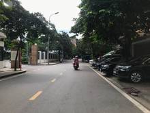 Hình ảnh Bán đất Xuân La Tây hồ 512m2 x 15m chỉ 55 tỷ Thương lượng lô góc.