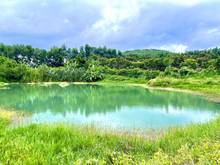 Hình ảnh Bán gấp lô vườn xoài view ao tại Gia Canh