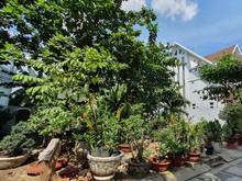 Hình ảnh Bán đất khu Biệt thự Bình Lợi Bình Thạnh, 215m3, ngang 14m, chỉ 24 tỷ