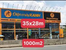 Hình ảnh Cho thuê mặt tiền Liên Phường - 35 x 28 có sẵn khung 300m giá Tốt 💥