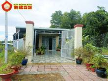 Hình ảnh Bán nhà đường nguyễn thị rõ - 348m2 - 8x50 cạnh 33m - 313m2 thổ cư -
