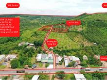 Hình ảnh Đất vườn La Ngà, mua về làm quà DT 1000m2 giá 1.2 tỷ view Hồ Trị An