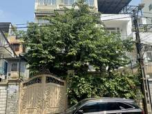 Hình ảnh Bán nhà hẻm 8m khu biệt thự Bành Văn Trân (DT đất 500m2) giá bán 55 tỷ