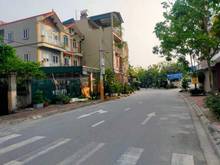Hình ảnh Bán đất phố Nguyễn Văn Linh(ng thời trung), Long Biên 138  6,3