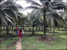 Hình ảnh Chính chủ bán đất Tam An, Long Thành, Đồng Nai.