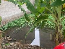 Hình ảnh Bán mảnh đất Phúc Lợi, long biên, 2.9 tỷ, 60m2 mt 6m, thửa đất vuông.